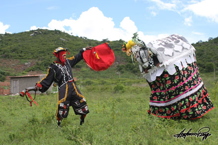 c-boi-tira-teima-antonio-preggo c-boi-tira-teima-antonio-preggo