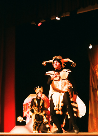 t-meu-reino-por-um-drama-vinicius-meireles