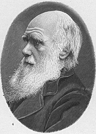 charles-darwin charles-darwin