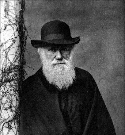 charles-darwin-standing charles-darwin-standing