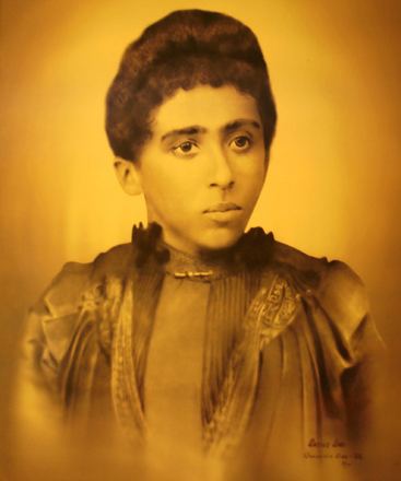 auta-de-souza auta-de-souza