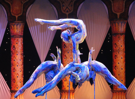 c-contorcionistas-luiza-tine c-contorcionistas-luiza-tine