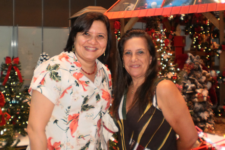 n-maria-luisa-borges-rosa-gomes