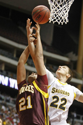 victor-arthur-saguaro victor-arthur-saguaro