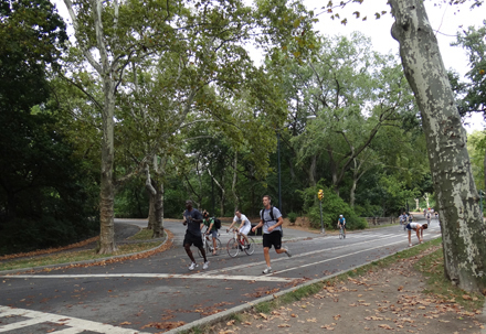 c-central-park