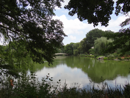 c-central-park3