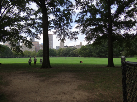 c-central-park5