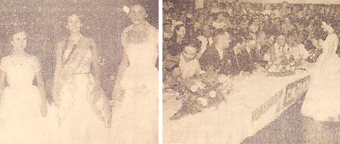 p55-almerinda-alba-edilia-edilia-dp-55