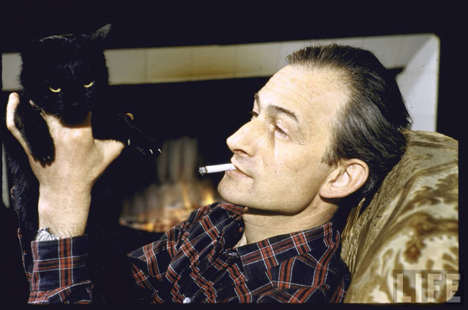 abalthus_cat
