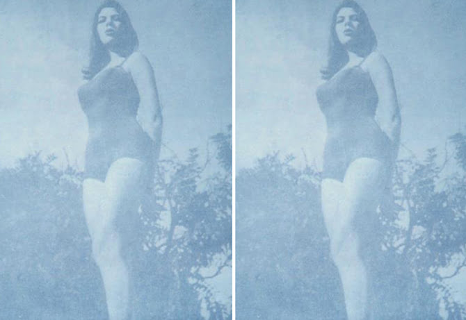 carmen-aurelia-rodrigues