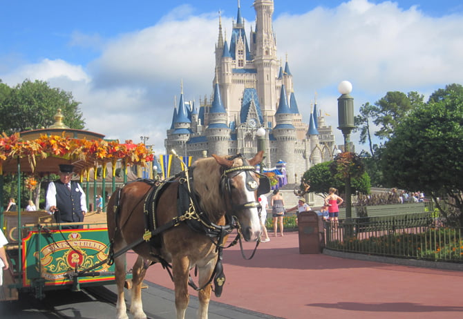 disneyworld