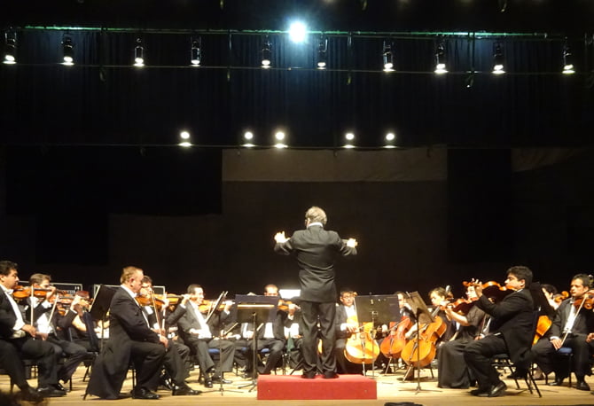 w-palco11
