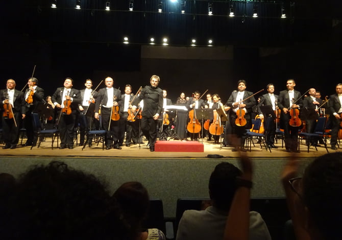 w-palco12