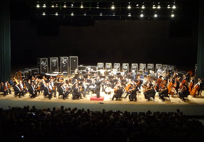w-palco15
